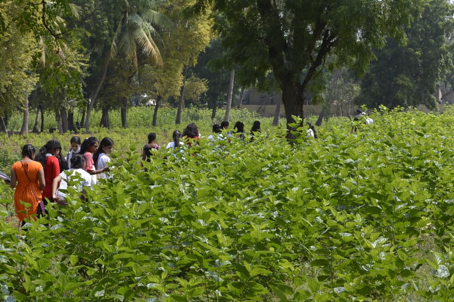 National Institute of Fashion Designing Hyderabad Activity photo 4